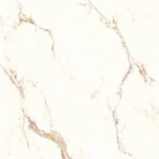 Керамогранит TSC напольная 60*60 TP66M16