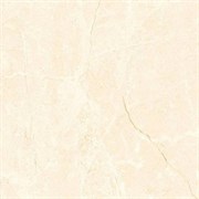Керамогранит TSC напольная 60*60 TP66M11