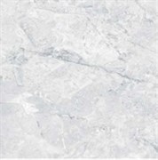 Керамогранит TSC напольная 60*60 TP66M08