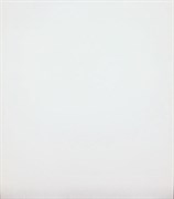Плитка TSC облицовочная 30*60 белая TP3600BY