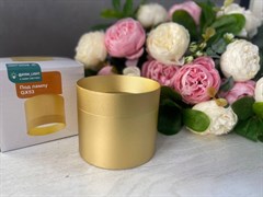 Спот AYAN_LIGHT накладной SPGX53-1-Gold-D