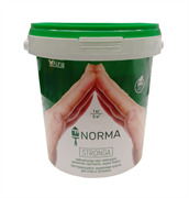 Краска ALINA PAINT водоэмульсионная протирающаяся NORMA 1кг