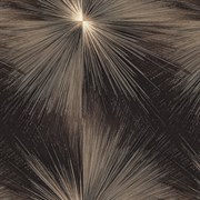 Обои EURO DECOR Flash декор 9203-22 виниловые 1,06*10,05м (1упак-6рул)
