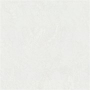 Обои EURO DECOR Bengal фон 7236-00 виниловые 1,06*10,05м (1упак-6рул)м