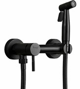 Смеситель FRAP с гигиеническим душем F7503-6