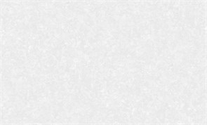 Обои АНТУРАЖ AN8858-14 виниловые 1,06*10,05м (1упак-6рул)