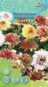 Семена ИНВЕНТ ПЛЮС Хризантема килеватая Дунетти