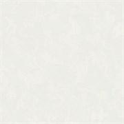 Обои EURO DECOR Ceylon фон 9225-00 виниловые 1,06*10,05м (1упак-6рул)