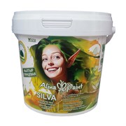 Эмаль ALINA PAINT Silva глянцевая 1кг