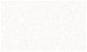 Обои VS Miracle фон 88295-01 виниловые 1,06*10,05м (1упак-6рул) (Ateliero)