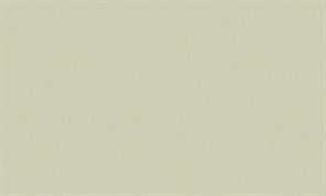 Обои ELYSIUM Лен Е501602 виниловые 1,06*10м (1упак-6рул)