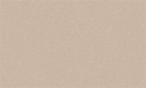 Обои RASCH Россия Contour фон 655346 1,06*10,05м (1упак-6рул)