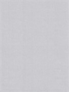 Обои МОСКОВСКИЕ Рондо-фон 6307-5 0,53*10м (1упак-12рул)