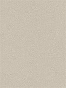 Обои EURO DECOR Fern фон 9215-02 виниловые 1,06*10,05м (1упак-6рул)