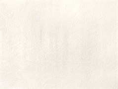 Обои ELYSIUM Концепт-фон 907900 виниловые 0,53*10м (1упак-9рул)