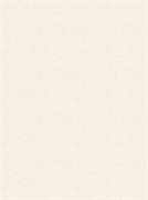 Обои АСПЕКТ РУ Гексагон фон 70670-22 1,06*10,05м (1упак-6рул)