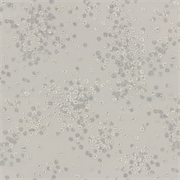 Обои EURO DECOR Герда декор 7282-11 виниловые 1,06*10,05м (1упак-6рул)