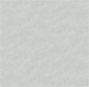 Обои VS Astra фон 589523 виниловые 1,06*10,05м (1упак-6рул) (МАЯКПРИНТ)