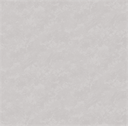 Обои VS Astra фон 589526 виниловые 1,06*10,05м (1упак-6рул) (МАЯКПРИНТ)