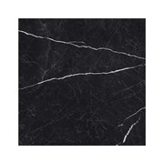 Керамогранит TSC напольная 60*60 TP66M29