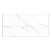 Плитка TSC керамическая 30*60 TP36100A