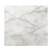 Плитка TSC керамогранитная 60*60 TP66M109