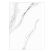 Плитка TSC облицовочная 40*80 TP8001