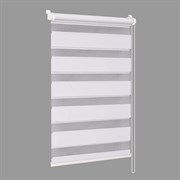 Штора рул. DELFA ДЕНЬ-НОЧЬ D609 45/160 Стандарт белый