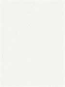 Обои АСПЕКТ РУ Ясмин фон 10140-15 0,53*10,05м (1упак-20рул)