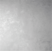 Обои VS Richard 585055 виниловые 1,06*10,05м (1упак-6рул) (МАЯКПРИНТ)