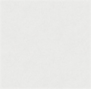 Обои VS Magnolia фон 585112 виниловые 1,06*10,05м (1упак-6рул) (МАЯКПРИНТ)