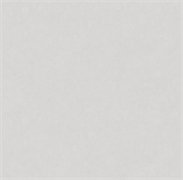 Обои VS Magnolia фон 585111 виниловые 1,06*10,05м (1упак-6рул) (МАЯКПРИНТ)