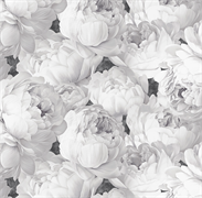 Обои VS Peony декор 585337 виниловые 1,06*10,05м (1упак-6рул) (МАЯКПРИНТ)