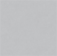 Обои VS Magnolia фон 585117 виниловые 1,06*10,05м (1упак-6рул) (МАЯКПРИНТ)