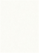 Обои АСПЕКТ РУ WallDecor Гудини фон 75285-10 1,06*10,05м (1упак-6рул)