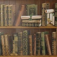 Обои EURO DECOR Библиотека 2003-04 виниловые 0,53*10м (1упак-9рул)