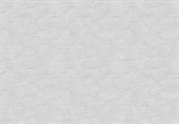 Обои VS Scandi фон 888483 виниловые 1,06*10,05м (1упак-6рул) (МАЯКПРИНТ)