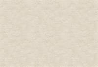 Обои VS Scandi фон 888488 виниловые 1,06*10,05м (1упак-6рул) (МАЯКПРИНТ)