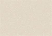 Обои VS Paulina фон 888666 виниловые 1,06*10,05м (1упак-6рул) (МАЯКПРИНТ)