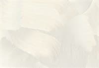 Обои EURO DECOR Jadore фон 8002-00 виниловые 1,06*10,05м (1упак-6рул)