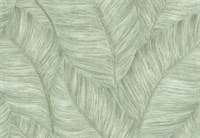 Обои EURO DECOR Mango декор 7051-04 виниловые 1,06*10,05м (1упак-6рул) Обои EURO DECOR Mango декор 7051-04 виниловые 1,06*10,05м (1упак-6рул)
