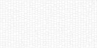 Плитка ALMA CERAMICA облицовочная Brillar 249*500*8,5 TWU09BRL000