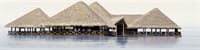 Панно ALMA CERAMICA из 2-х плиток Del Mare 249*500 PWU09DLM1/9ПНДМ1