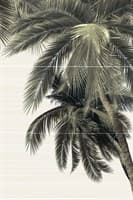 Панно ALMA CERAMICA из 3-х плиток Del Mare 747*500*7,5 PWU09DLM2/9ПНДМ2