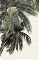 Панно ALMA CERAMICA из 3-х плиток Del Mare 249*500 PWU09DLM3/9ПНДМ3
