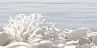 Декор ALMA CERAMICA Del Mare на гол. кор. 249*500*7,5 DWU09DLM624/9ВСДМ624