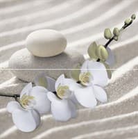 Панно ALMA CERAMICA из 2-х плиток RELAX 498*500 9ПНРЛ1/PWU09RLX1
