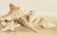 Декор UNITILE Amalfi sand dekor 01 250*400 Декор UNITILE Amalfi sand dekor 01 250*400