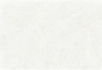 Обои EURO DECOR Alaia фон 9043-00 виниловые 1,06*10,05м (1упак-6рул) Обои EURO DECOR Alaia фон 9043-00 виниловые 1,06*10,05м (1упак-6рул)