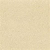 Обои DECORI&DECORI Италия 81955 1,06*10,05м (1упак-4рул) (Amata)